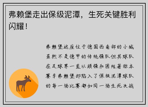 弗赖堡走出保级泥潭，生死关键胜利闪耀！